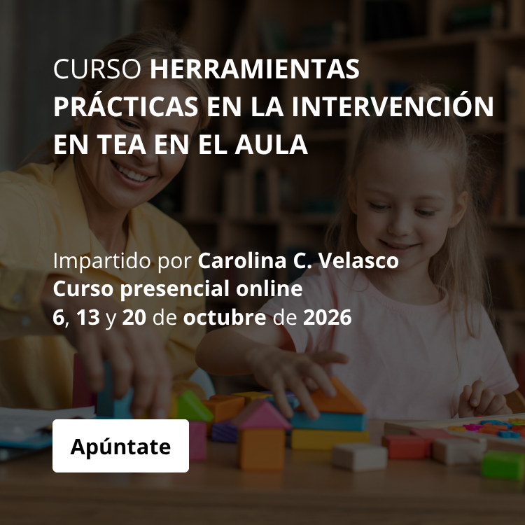 CURSO HERRAMIENTAS PRÁCTICAS EN LA INTERVENCIÓN EN TEA EN EL AULA